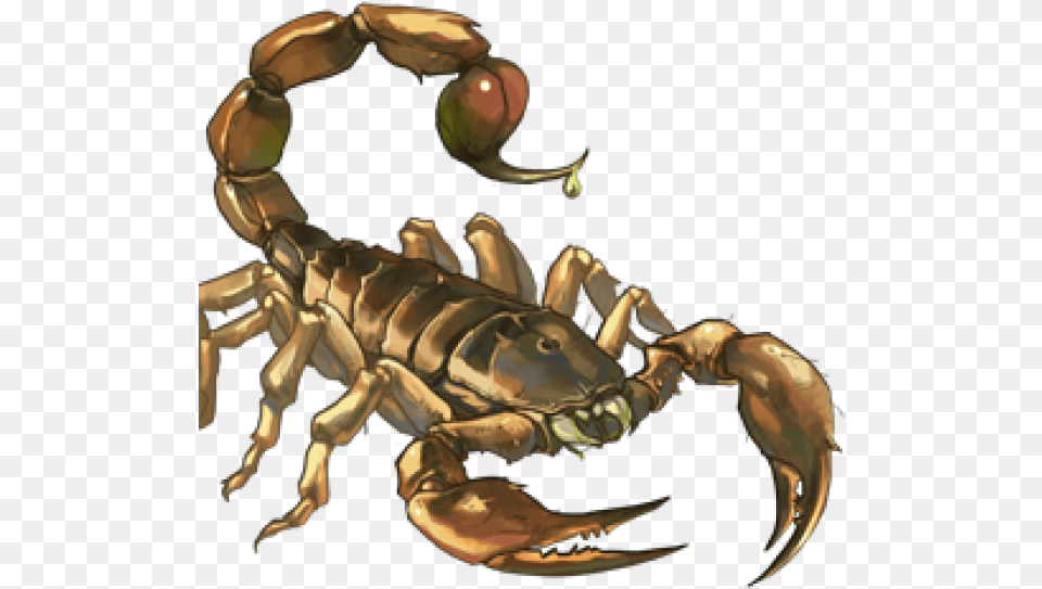 Scorpion Scorpion Pliers, Ball, Baseball, Baseball (ball), Sport Png Image