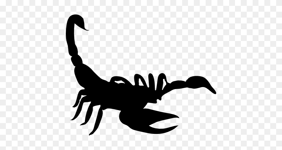 Scorpion Shape, Stencil, Animal, Invertebrate, Spider Png Image
