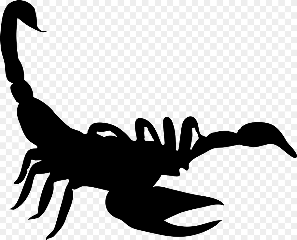 Scorpion Shape Scorpion Icon, Stencil, Animal, Invertebrate, Antelope Free Transparent Png