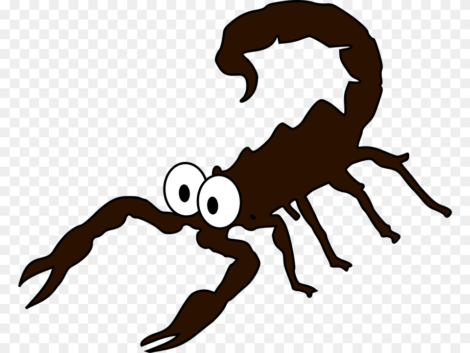 Scorpion Shop Of Clipart Library Buy Samsung Galaxy J5 Edge Price In India, Person, Animal, Invertebrate Free Transparent Png