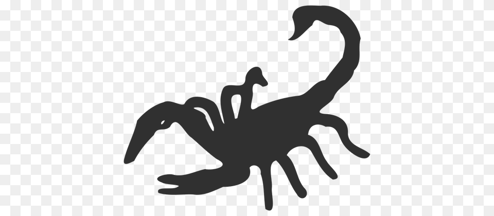 Scorpion Silhouette, Person, Animal, Bear, Mammal Png Image