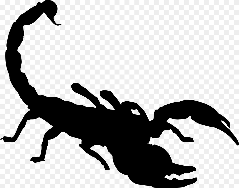Scorpion Silhouette Clip Art Scorpion Clip Art, Gray Free Png