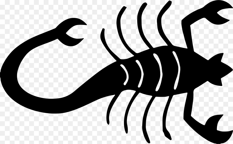 Scorpion Silhouette Computer Icons Pincer Venom Scorpion Silhouette, Gray Png