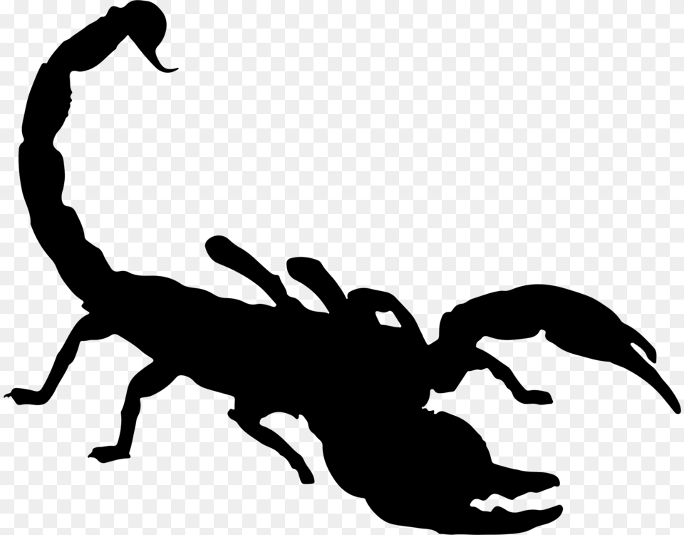 Scorpion Silhouette Drawing Download, Gray Free Png