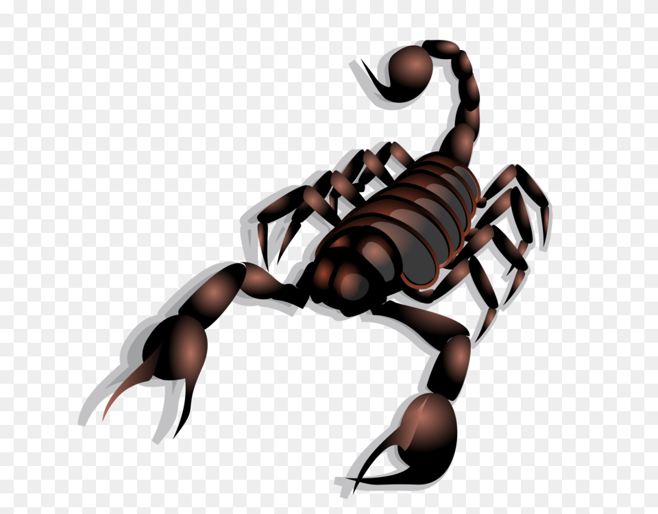 Scorpion Sting Arachnid Turtle The Scorpion, Animal, Invertebrate, Baby, Person Png Image
