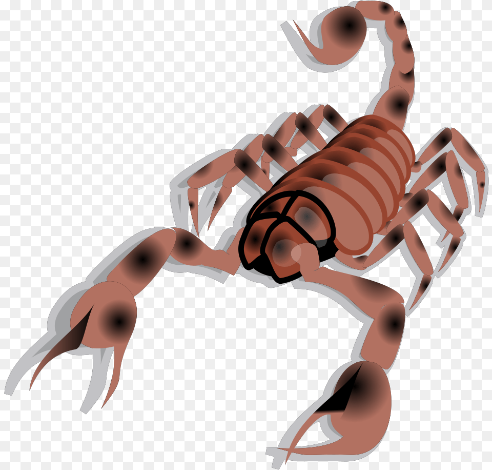 Scorpion Svg Clip Arts Scorpion, Animal, Invertebrate, Baby, Person Free Transparent Png