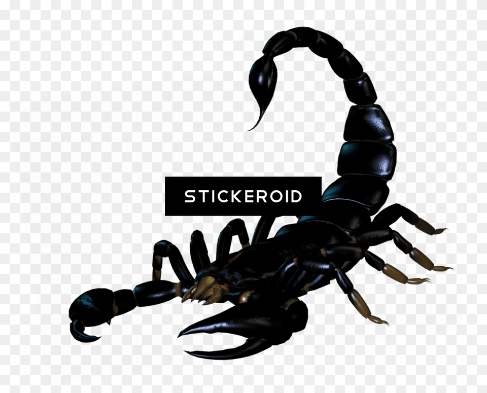 Scorpion Tattoo Silhouette Insects Scorpions Scorpion, Electronics, Hardware Png