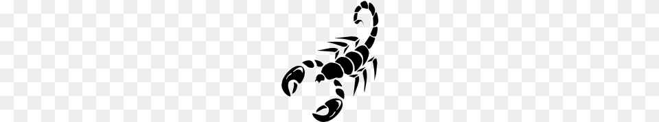 Scorpion Vector, Gray Free Png