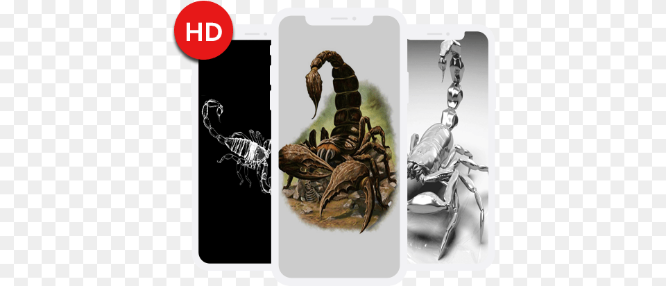 Scorpion Wallpapers Hd U2013 No Google Play Scorpion, Electronics, Hardware, Animal, Insect Free Transparent Png