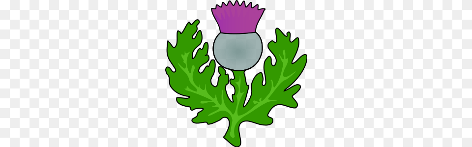Scotland Clipart Group With Items, Flower, Plant, Leaf, Thistle Free Png
