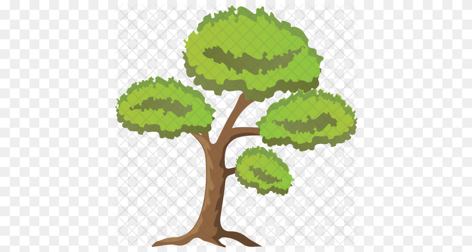Scots Pine Tree Icon Gambel Oak, Green, Plant, Potted Plant, Vegetation Free Png Download