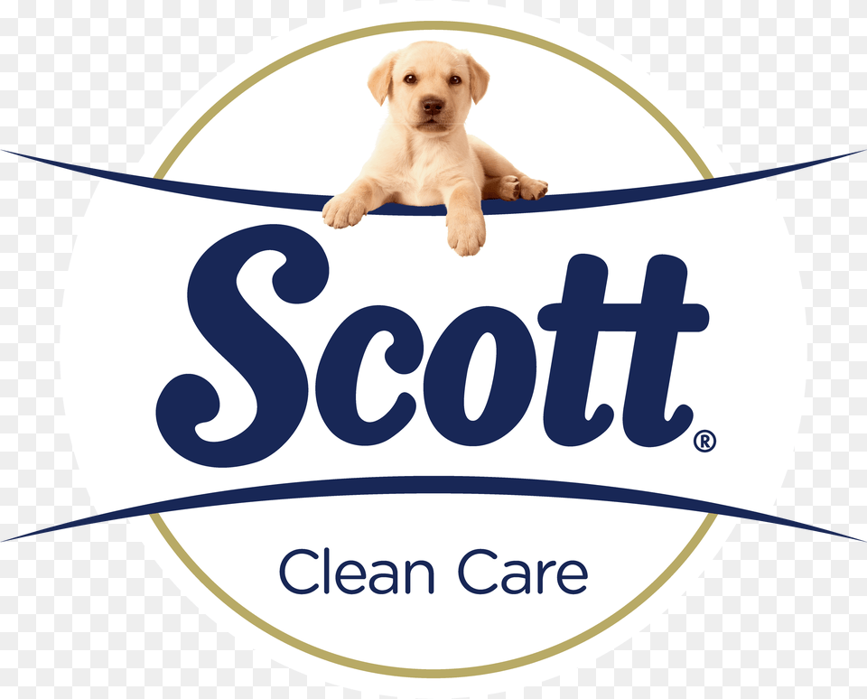 Scott Extra, Animal, Canine, Dog, Mammal Free Transparent Png