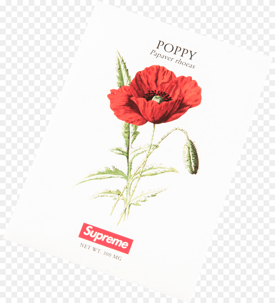 Scottish Birthday Card Mum, Advertisement, Flower, Plant, Poster Free Transparent Png