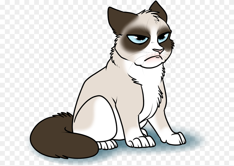 Scottish Fold Cat Dog Like Mammal Cartoon Transparent Grumpy Cat, Adult, Person, Woman, Female Free Png Download
