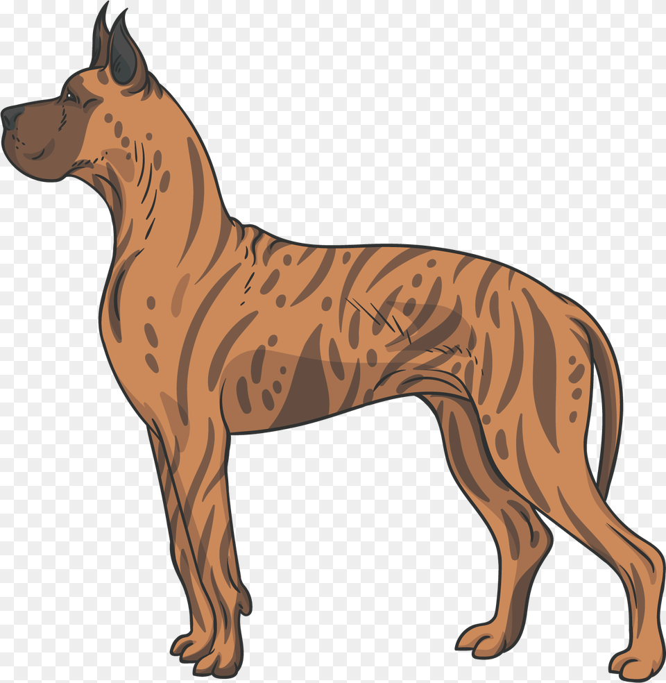 Scottish Terrier Dog Breed Wolfdog Pet Wolfdog, Animal, Canine, Great Dane, Mammal Free Transparent Png