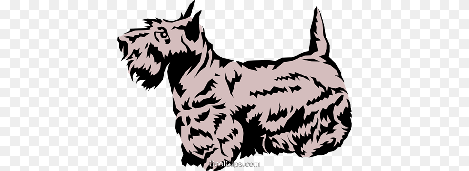 Scottish Terrier Royalty Free Vector Clip Art Illustration, Animal, Pet, Mammal, Dog Png