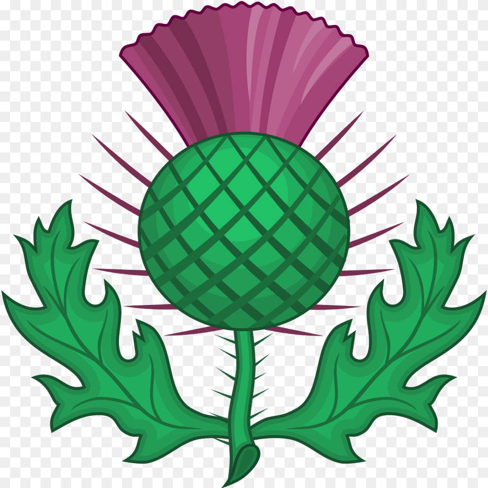 Scottish Thistle, Flower, Plant, Bonfire, Fire Free Png Download