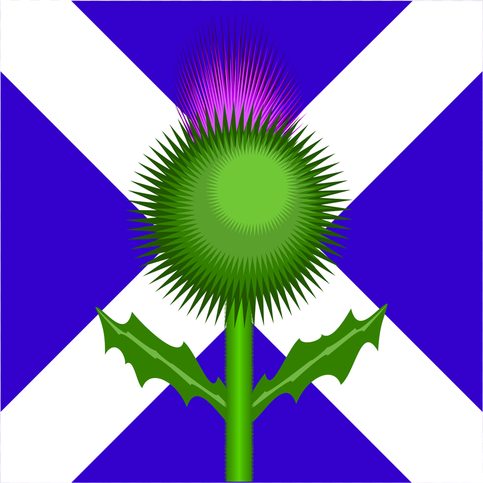 Scottish Thistle And Flag By Kevie The Two National Scotland Flag And Thistle, Flower, Green, Plant, Leaf Png