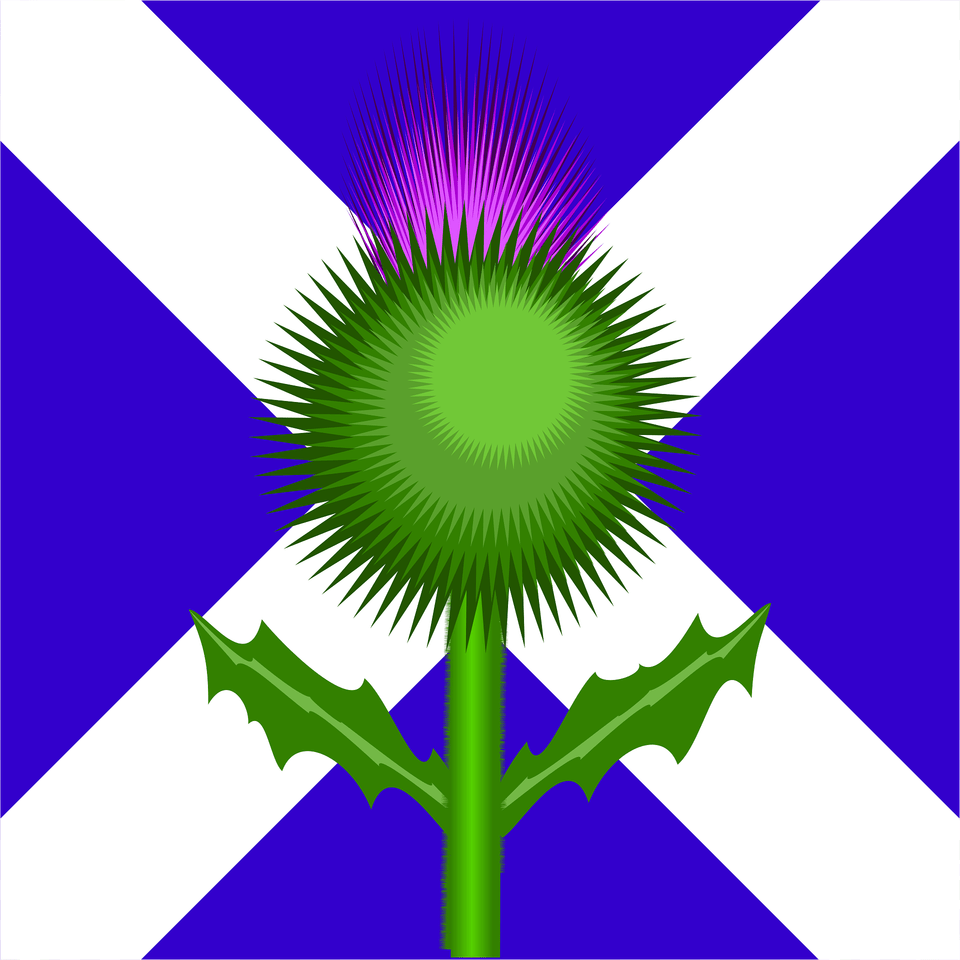 Scottish Thistle And Flag Clipart, Flower, Green, Plant, Leaf Free Transparent Png
