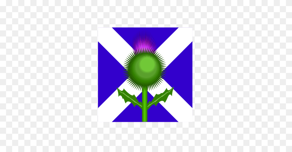 Scottish Thistle And Flag Vector Image, Flower, Plant, Green, Purple Free Transparent Png