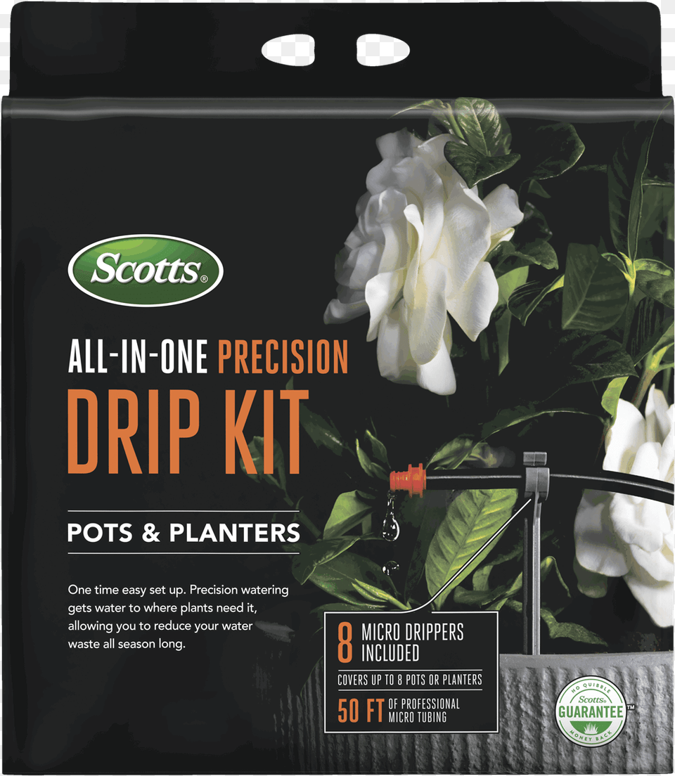 Scotts Lawn, Advertisement, Poster, Flower, Plant Png Image