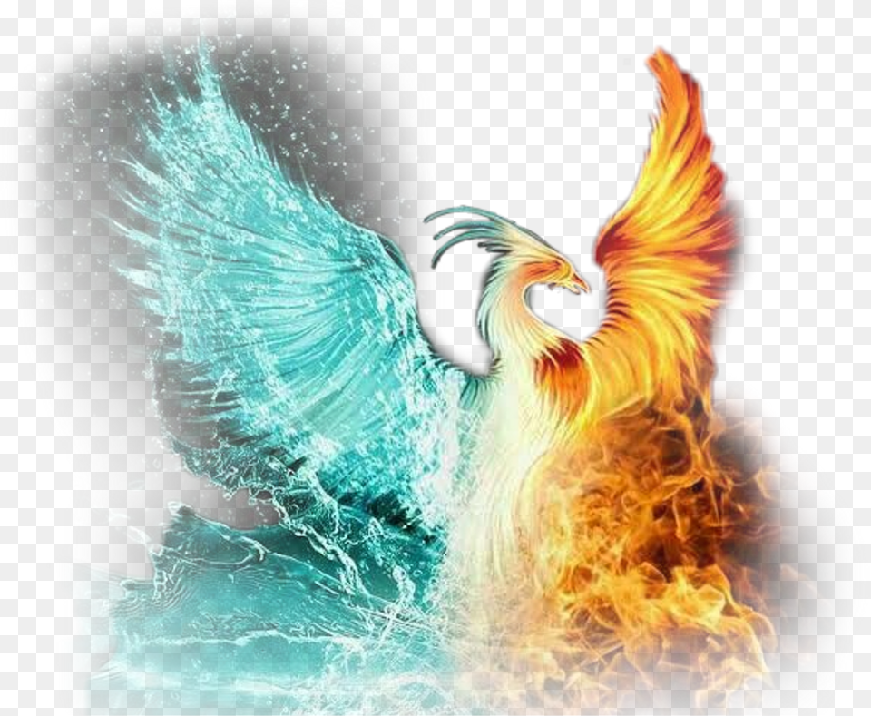 Scphoenix Phoenix Ice Fire Iceandfire Flame Fire Phoenix Fire Blue And Red, Pattern, Adult, Female, Person Free Transparent Png