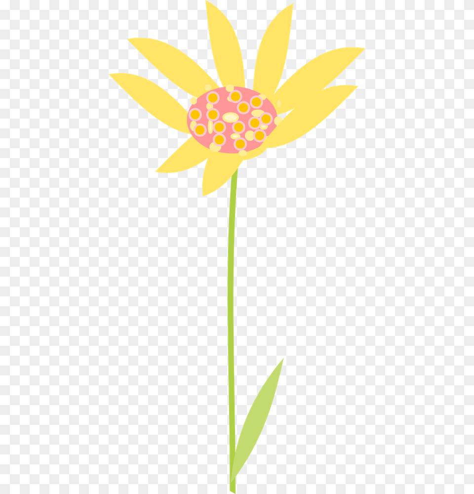 Scrap Flower S Flower Clipart Graphics Clipart African Daisy, Anther, Petal, Plant, Sunflower Png