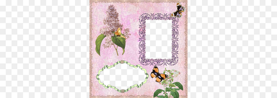 Scrapbook Art, Collage, Flower, Plant Free Transparent Png