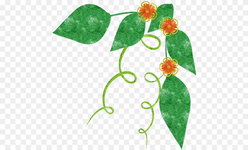 Scrapbook Green Nature Grunge Color Green Leaves Anthurium, Art, Floral Design, Graphics, Pattern Free Transparent Png