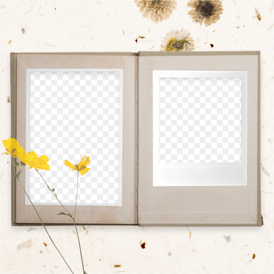 Scrapbook Template Frame Sketch Book Frame Instagram Home Door, Flower, Plant, Photo Frame Free Png Download