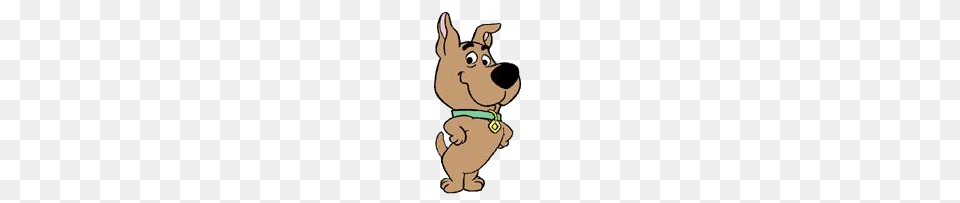 Scrappy Doo, Snout, Nature, Outdoors, Snow Png