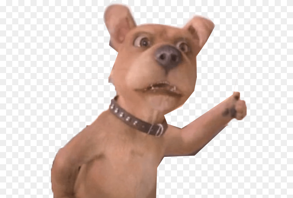 Scrappy Doo Live Action Scrappy Doo Real Movie, Snout, Baby, Person, Animal Free Png