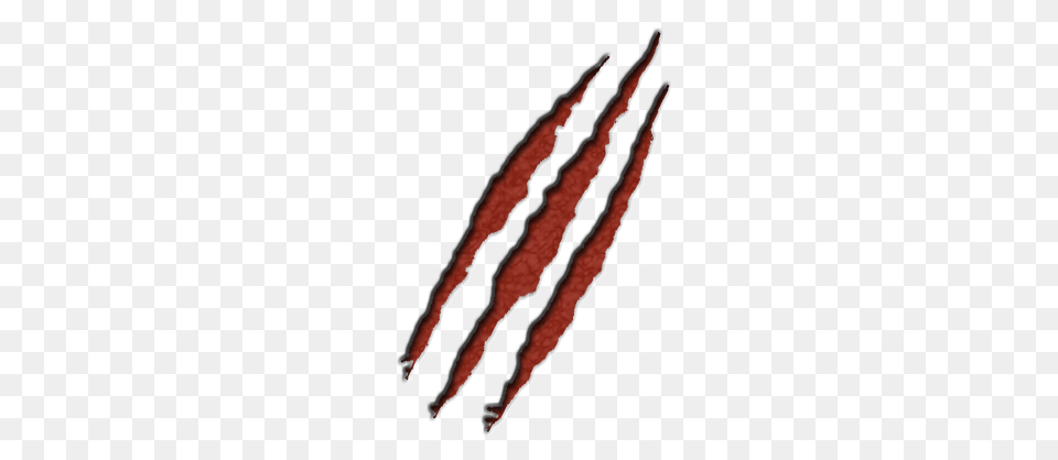 Scratches, Maroon, Home Decor, Person Free Png