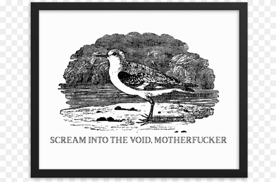 Scream Into The Void Framed Postersrcset Data Scream Into The Void, Animal, Bird, Beak, Seagull Free Transparent Png