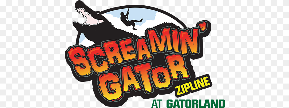 Screamin Gator Zip Line Tv Saarland, Adult, Male, Man, Outdoors Free Png