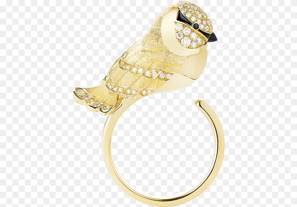 Screech Owl, Accessories, Diamond, Gemstone, Gold Free Transparent Png