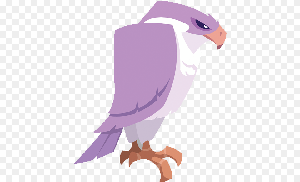 Screen Shot 2017 07 28 At, Animal, Beak, Bird, Kite Bird Free Png Download