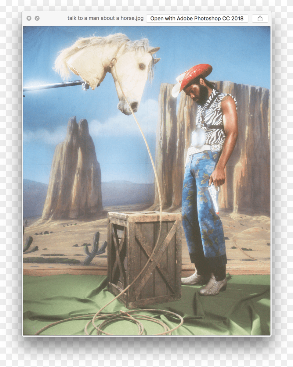 Screen Shot 2019 06 04 At, Tree, Clothing, Plant, Hat Free Transparent Png