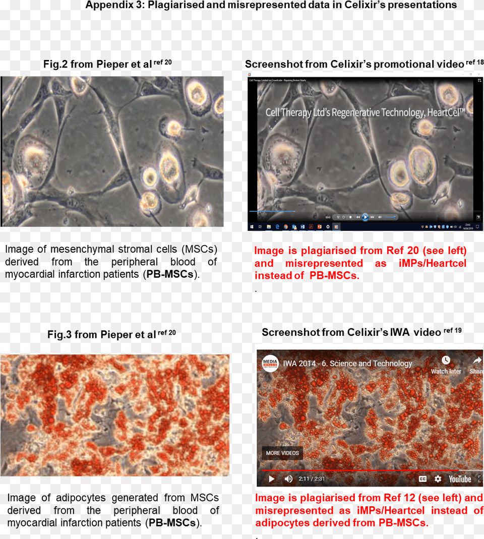 Screenshot, Accessories, Ornament Free Png Download