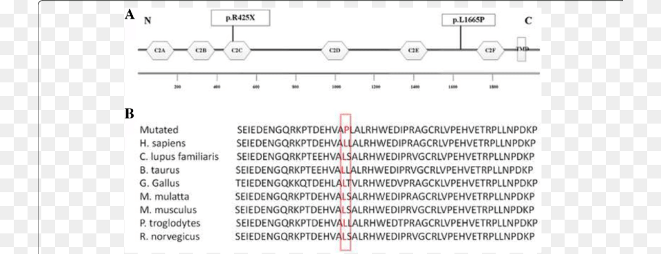 Screenshot, Page, Text, Chart, Plot Free Transparent Png