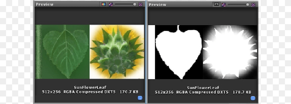 Screenshot, Art, Plant, Collage, Leaf Png Image