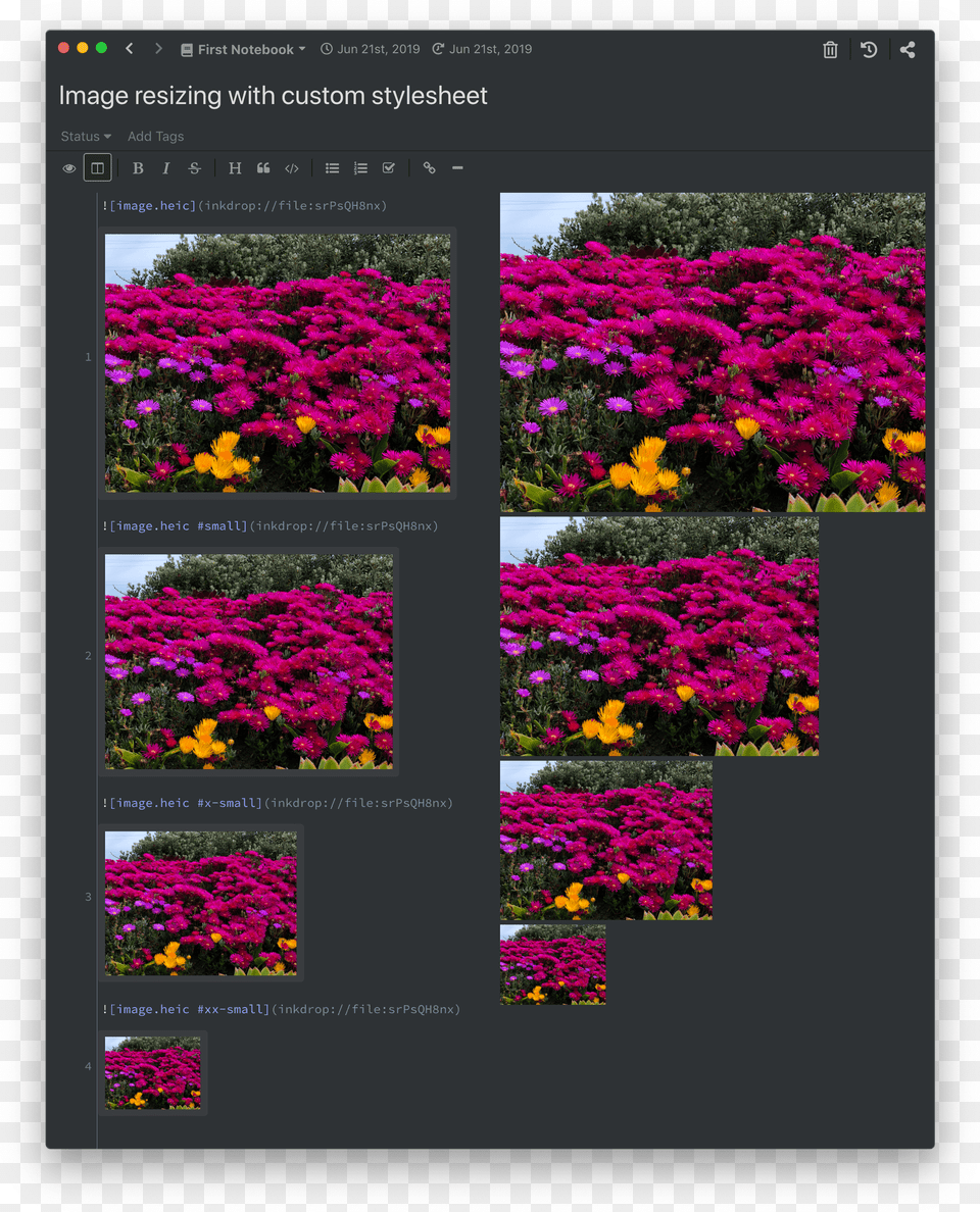 Screenshot, Art, Purple, Plant, Petal Png Image