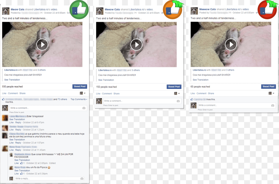 Screenshot, Text, Page, Pet, Mammal Free Png