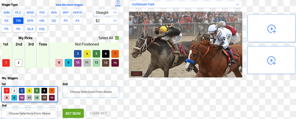 Screenshot, Animal, Equestrian, Horse, Mammal Png Image