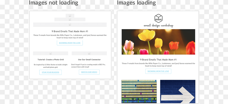 Screenshot, File, Flower, Plant, Webpage Free Png Download