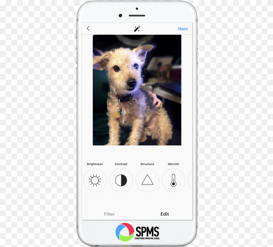 Screenshot, Electronics, Phone, Animal, Canine Free Transparent Png
