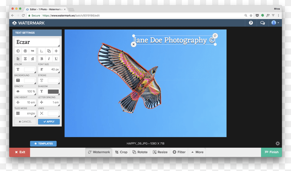 Screenshot, Animal, Beak, Bird, Screen Free Transparent Png