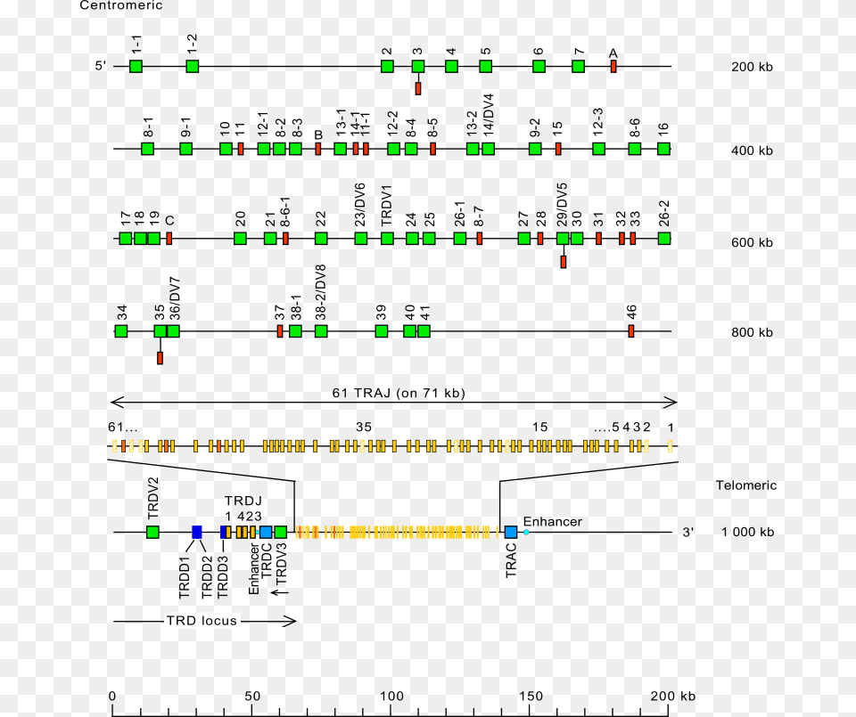 Screenshot, Chart Free Transparent Png