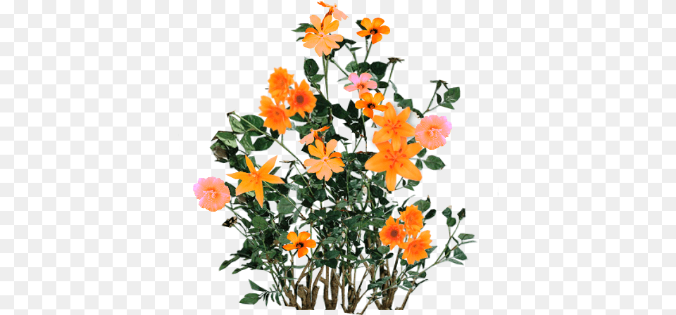 Script Library Flower Plants For Photoshop, Flower Arrangement, Flower Bouquet, Geranium, Petal Free Png
