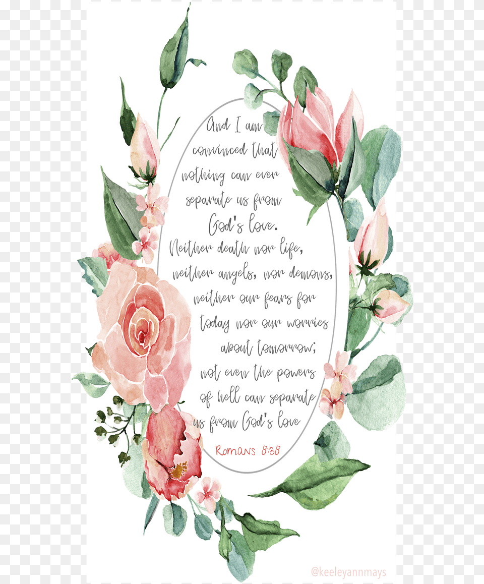 Scriptures On Cute Background, Rose, Plant, Mail, Greeting Card Free Transparent Png